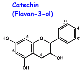 flavo-23.gif (2949 Byte)